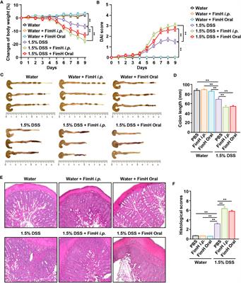 Escherichia coli adhesion protein FimH exacerbates colitis via CD11b+CD103- dendritic cell activation